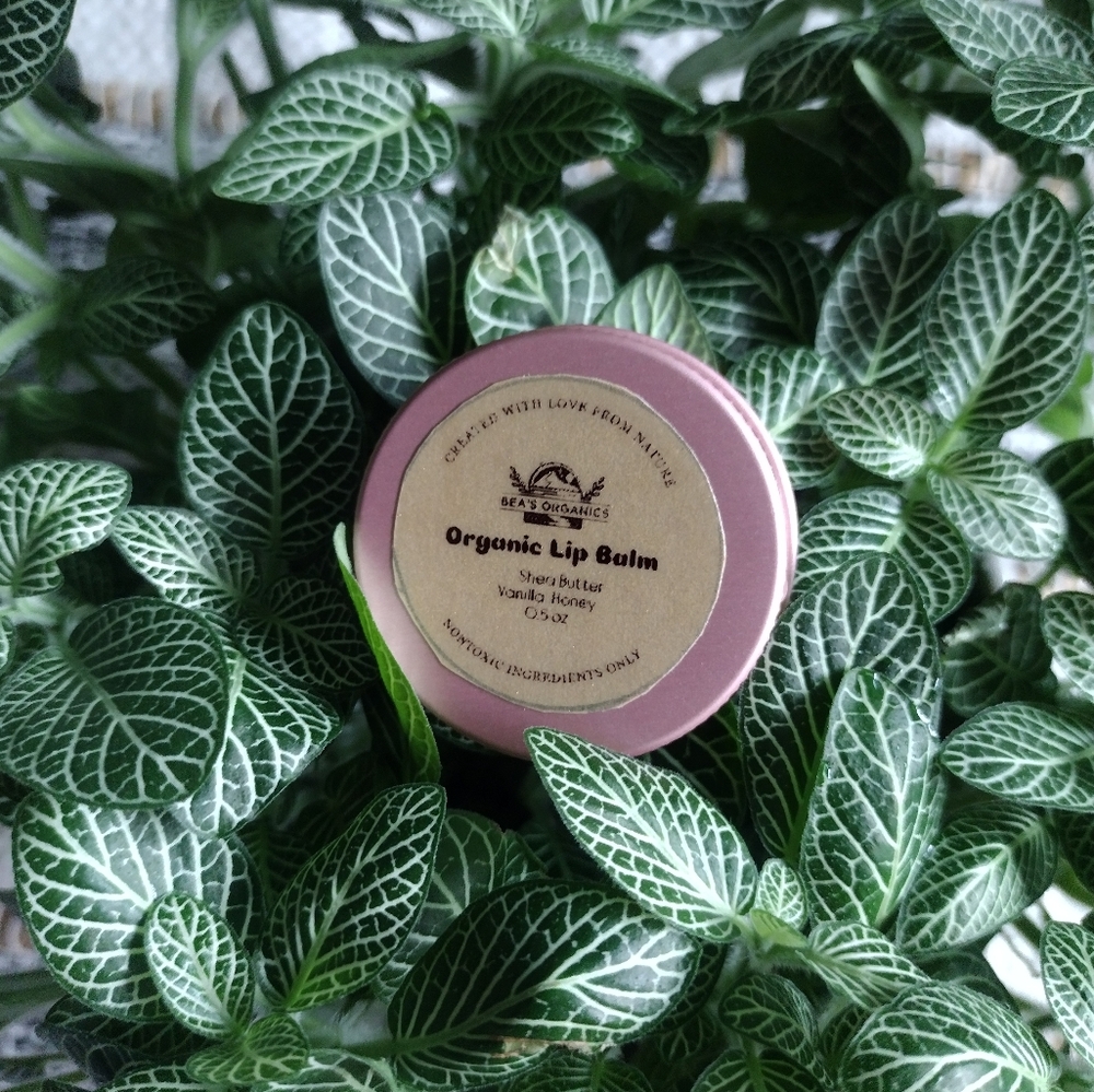 Organic Lip Balm with Raw Honey and Shea Butter 0.5 oz - Picture 3 of 5